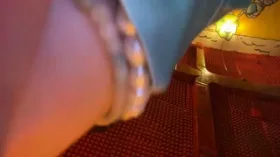 Camgirl MiaWallace en live webcam amateur