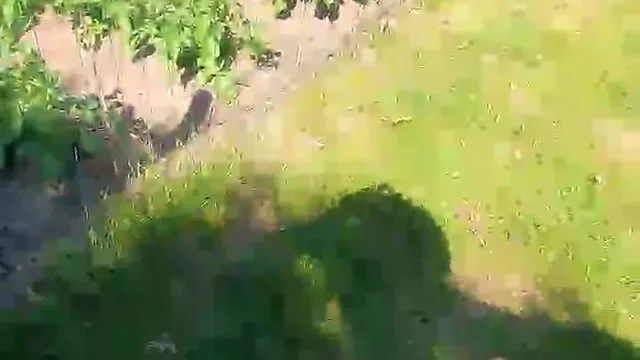 Camgirl Hottie8312 en live webcam amateur