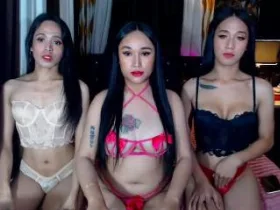 Camgirl SexyTransAsiantrio en ligne - chat webcam en direct
