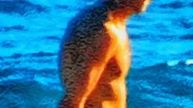 darkxxx camgirl live amateur webcam