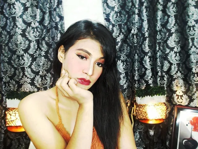 XhCockTransx camgirl live amateur webcam