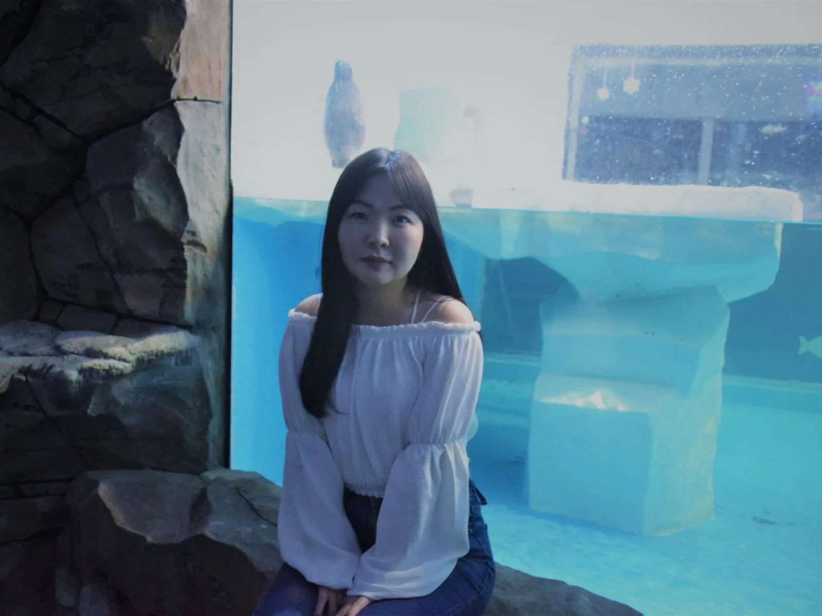 TinaDarcy camgirl live amateur webcam